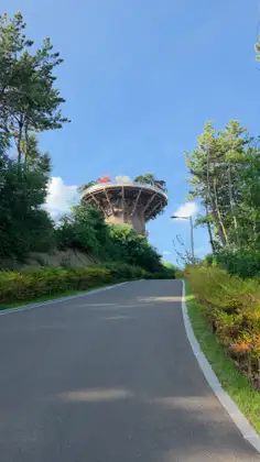 대상공원 대표 코스 사진