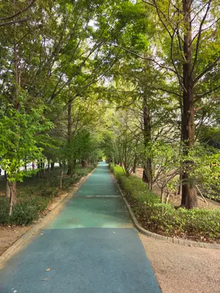 남산녹지공원 대표 코스 사진